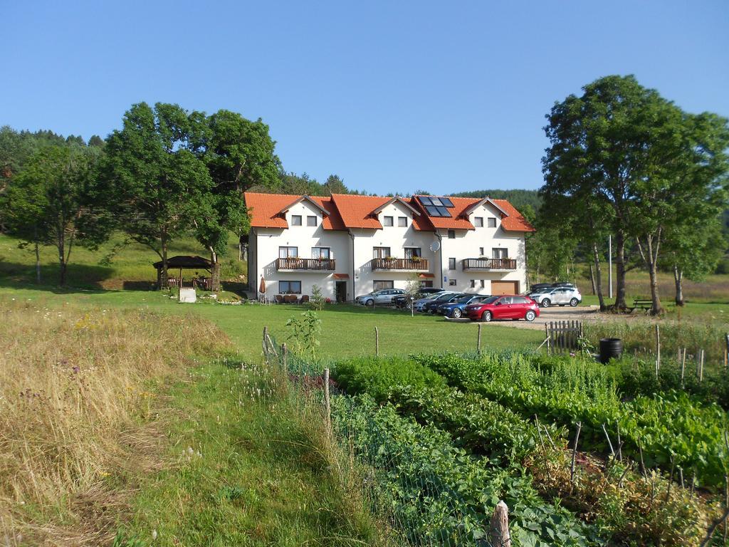 Guest House Good Night Donji Babin Potok Exterior foto